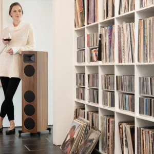 MartinLogan Tower Basic package-1