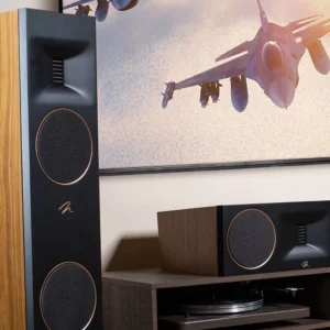 MartinLogan Tower premium package-3