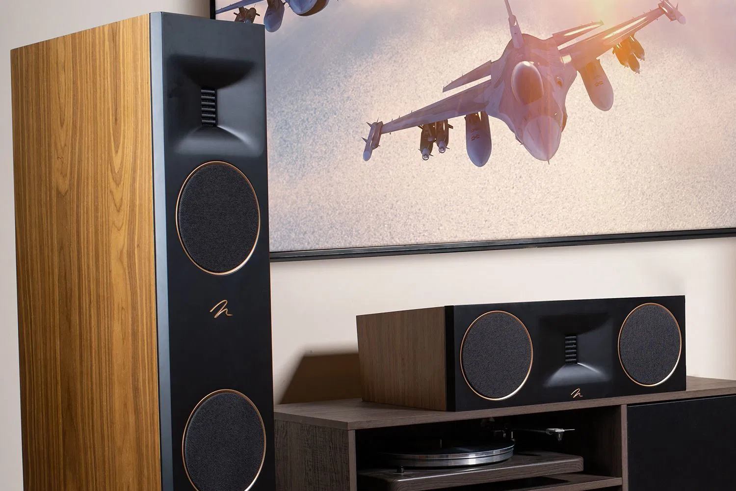 MartinLogan Tower premium package-3